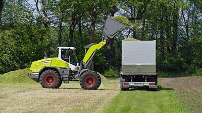 TORION small series TORION small series